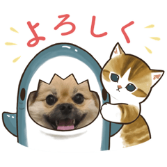 [LINEスタンプ] ポメペキくんとカラフルな日常