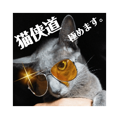 [LINEスタンプ] 三角な猫8