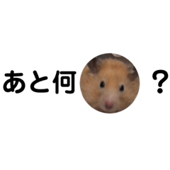 [LINEスタンプ] ぷん6