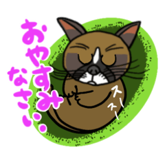 [LINEスタンプ] 猫の運動。猫じゃらしと遊ぶ…