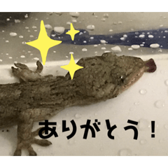 [LINEスタンプ] ヤモチャン×斉藤さん達！