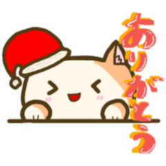 [LINEスタンプ] ひょっこり猫   (クリスマス)