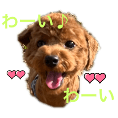 [LINEスタンプ] ムギポ❤️