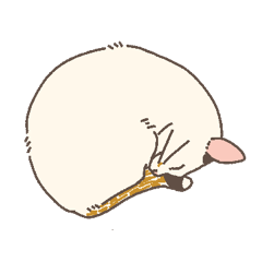 [LINEスタンプ] おかしなねこたち2