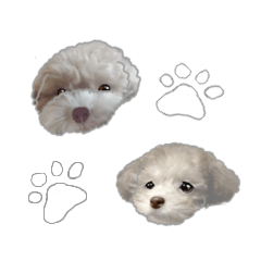 [LINEスタンプ] 毎日使える！犬たち