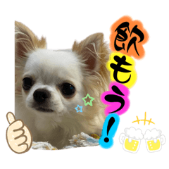 [LINEスタンプ] マウたんスタンプ