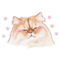 [LINEスタンプ] しっぽなねこず ＊reviced＊