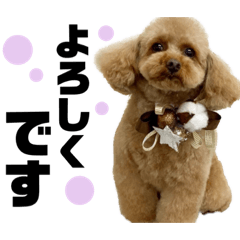 [LINEスタンプ] purine✳︎