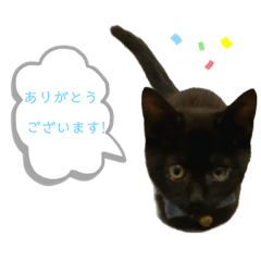 [LINEスタンプ] 白桃猫猫 5