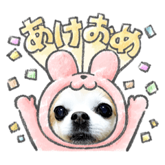 [LINEスタンプ] チワワノアリス №001