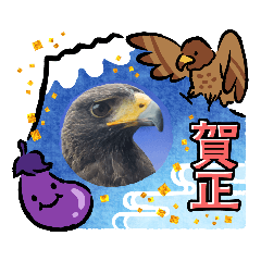 [LINEスタンプ] あにまるふれんずー