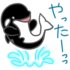 [LINEスタンプ] シャチのぽぽちゃん(マスコット風)