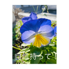 [LINEスタンプ] 地球劇場5〜花咲き香る3〜