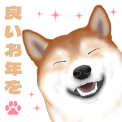 [LINEスタンプ] 【冬＆年末年始】リアル可愛い柴犬