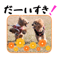 [LINEスタンプ] よつば♡ペニー☆仲良しスタンプ1126