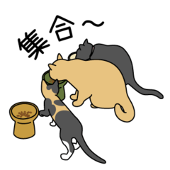 [LINEスタンプ] eCrin