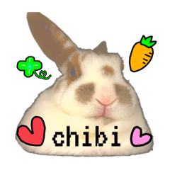 [LINEスタンプ] ウサギミニ