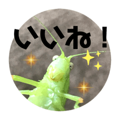 [LINEスタンプ] 愉快な生き物達！4