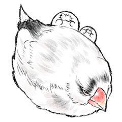 [LINEスタンプ] アザラシと文鳥