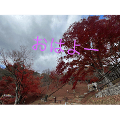 [LINEスタンプ] 絶景と紅葉