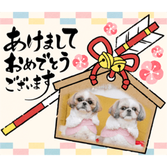 [LINEスタンプ] つくしとすみれ5 シーズー