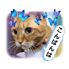 [LINEスタンプ] 保護猫ミルクとマシュ