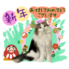 [LINEスタンプ] こうめさん！新年のご挨拶