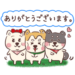 [LINEスタンプ] 柴犬トリオ (いぬ)