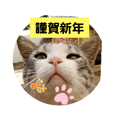 [LINEスタンプ] おめでたいにゃん