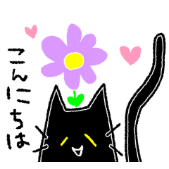 [LINEスタンプ] 黒猫の黒ニャン♪毎日スタンプ！