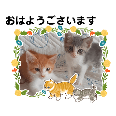 [LINEスタンプ] クロとチャーのスタンプ