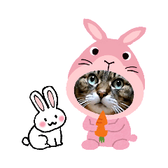 [LINEスタンプ] うちのねこ☆うさぎ