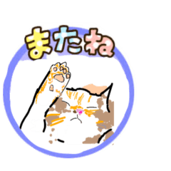 [LINEスタンプ] Keng_20221130