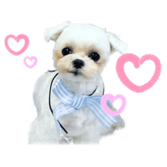 [LINEスタンプ] ♡レイちゃん♡