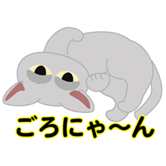 [LINEスタンプ] ネコ cat