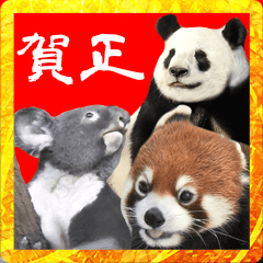 [LINEスタンプ] BIG年賀状☆動物園の可愛い仲間たち