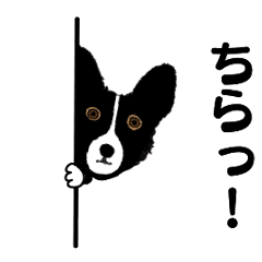 [LINEスタンプ] うちのさんに似た子がいるかな？