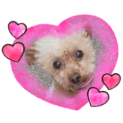 [LINEスタンプ] 愉快なワンちゃんズ