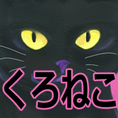 [LINEスタンプ] くろねこのコ