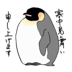 [LINEスタンプ] いんぎんぺんぎん