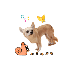 [LINEスタンプ] 428(1)