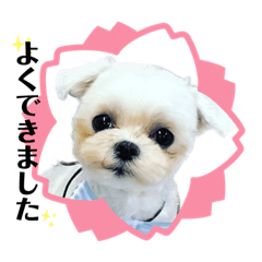 [LINEスタンプ] ♡レイちゃん1♡
