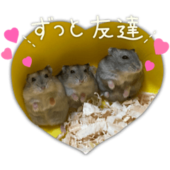 [LINEスタンプ] 生き物スタンプ☆動物、昆虫、爬虫類