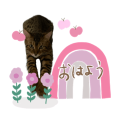 [LINEスタンプ] リオンとカイのスタンプ