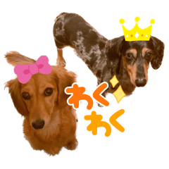 [LINEスタンプ] Jackさん＆Tinkさん
