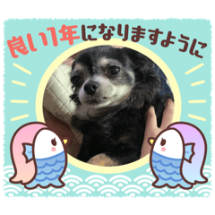 [LINEスタンプ] 栗栖家のペットたち