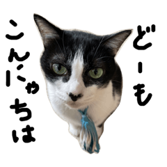 [LINEスタンプ] 愛猫毛玉ちゃんミルキー2