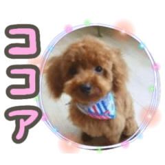 [LINEスタンプ] 村岡さんちのココア