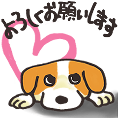 [LINEスタンプ] 表情ゆたかなわんこスタンプ