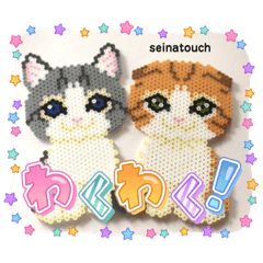 [LINEスタンプ] seinatouchのスコティッシュフォールド♪